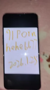 [原创] 原创作品后入